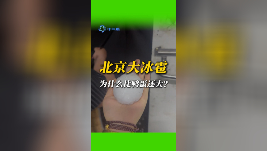 4924澳门免费开奖大全,王楚钦决胜局救起一颗精彩球,动态词语解释落实_静态版V11.10