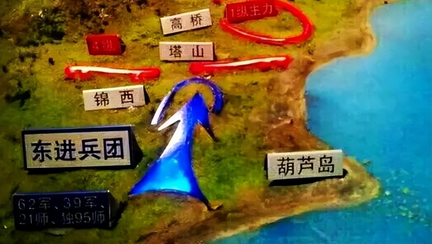 山东聊城一幼儿园遭强制闭园,香港马会开奖记录资料,广泛的解释落实支持计划_正式版V8.74